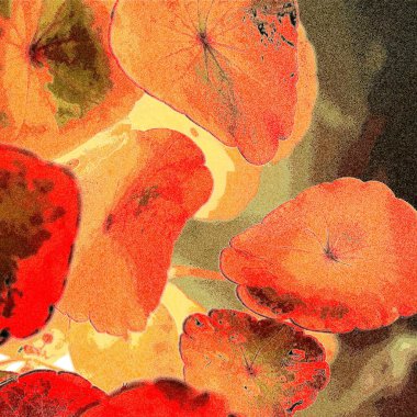 Yeşil çember ayrılıyor. Su bitkileri. Parlak, doğal, taze bir geçmiş. Yeşillik. Arkaplan veya duvar kağıdı için.