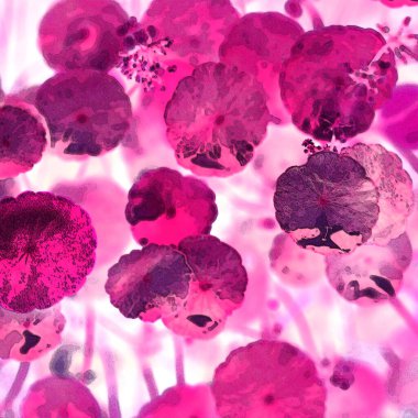 Yeşil çember ayrılıyor. Su bitkileri. Parlak, doğal, taze bir geçmiş. Yeşillik. Arkaplan veya duvar kağıdı için.