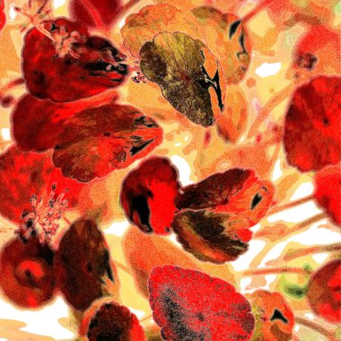 Yeşil çember ayrılıyor. Su bitkileri. Parlak, doğal, taze bir geçmiş. Yeşillik. Arkaplan veya duvar kağıdı için.