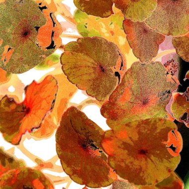 Yeşil çember ayrılıyor. Su bitkileri. Parlak, doğal, taze bir geçmiş. Yeşillik. Arkaplan veya duvar kağıdı için.