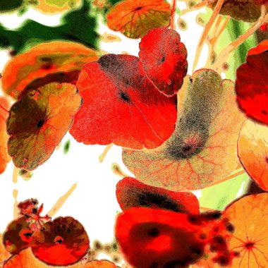 Yeşil çember ayrılıyor. Su bitkileri. Parlak, doğal, taze bir geçmiş. Yeşillik. Arkaplan veya duvar kağıdı için.