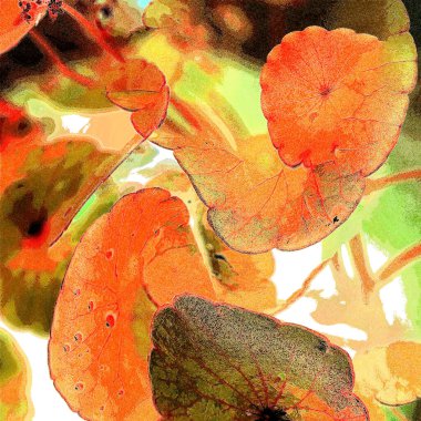 Yeşil çember ayrılıyor. Su bitkileri. Parlak, doğal, taze bir geçmiş. Yeşillik. Arkaplan veya duvar kağıdı için.