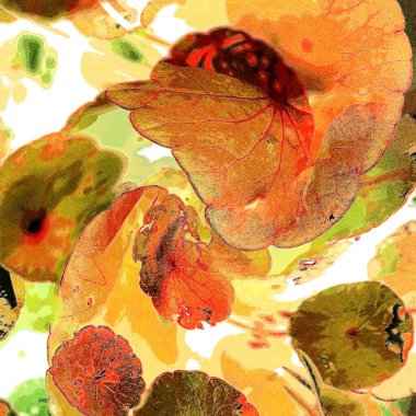 Yeşil çember ayrılıyor. Su bitkileri. Parlak, doğal, taze bir geçmiş. Yeşillik. Arkaplan veya duvar kağıdı için.