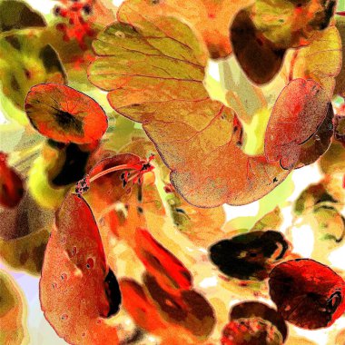 Yeşil çember ayrılıyor. Su bitkileri. Parlak, doğal, taze bir geçmiş. Yeşillik. Arkaplan veya duvar kağıdı için.