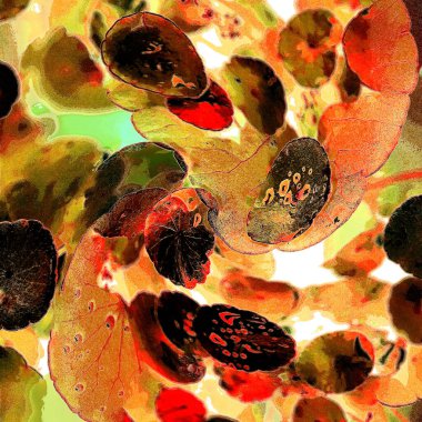 Yeşil çember ayrılıyor. Su bitkileri. Parlak, doğal, taze bir geçmiş. Yeşillik. Arkaplan veya duvar kağıdı için.