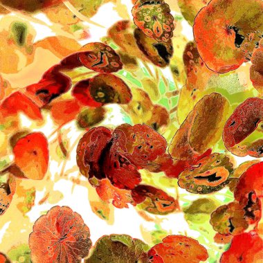 Yeşil çember ayrılıyor. Su bitkileri. Parlak, doğal, taze bir geçmiş. Yeşillik. Arkaplan veya duvar kağıdı için.