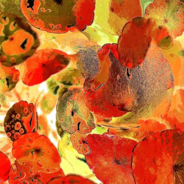 Yeşil çember ayrılıyor. Su bitkileri. Parlak, doğal, taze bir geçmiş. Yeşillik. Arkaplan veya duvar kağıdı için.