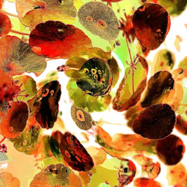 Yeşil çember ayrılıyor. Su bitkileri. Parlak, doğal, taze bir geçmiş. Yeşillik. Arkaplan veya duvar kağıdı için.