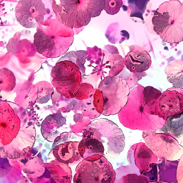 Nergisler. Yeşil bitkiler. Parlak doğal bir geçmişi, su bitkileri. Arkaplan veya duvar kağıdı için.