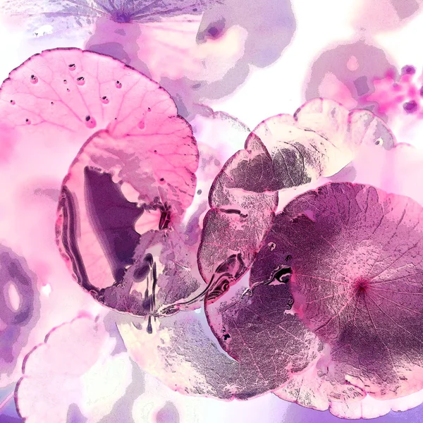 Nergisler. Yeşil bitkiler. Parlak doğal bir geçmişi, su bitkileri. Arkaplan veya duvar kağıdı için.