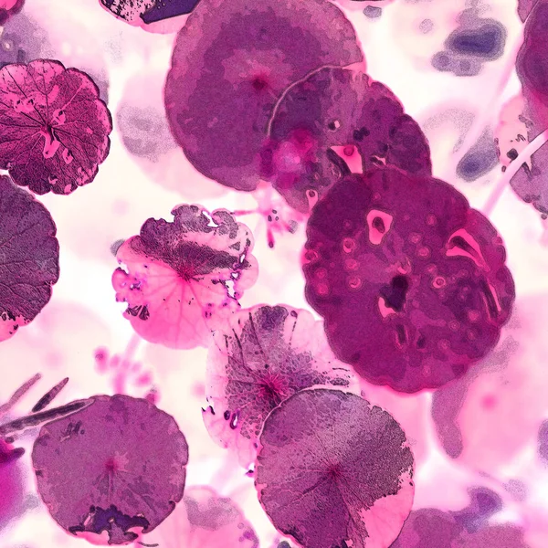 Yeşil çember ayrılıyor. Su bitkileri. Parlak, doğal, taze bir geçmiş. Yeşillik. Arkaplan veya duvar kağıdı için.