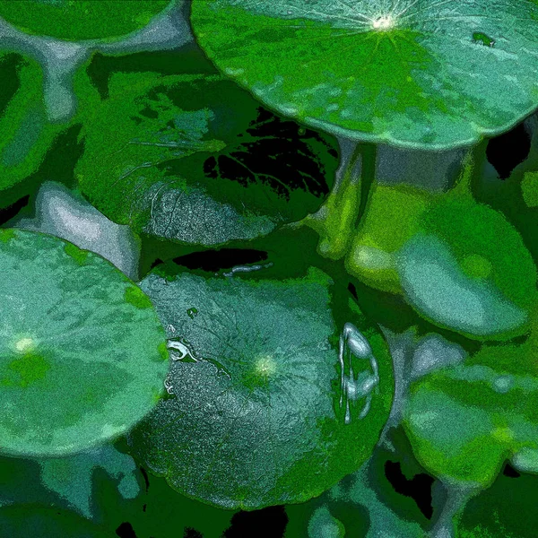 Πράσινος Κύκλος Φεύγει Υδρόβια Φυτά Φωτεινό Φυσικό Φρέσκο Φόντο Πράσινο — Φωτογραφία Αρχείου