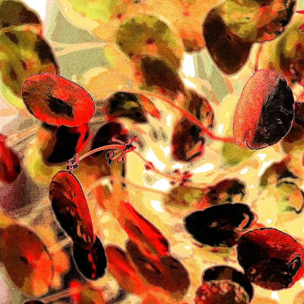 Yeşil çember ayrılıyor. Su bitkileri. Parlak, doğal, taze bir geçmiş. Yeşillik. Arkaplan veya duvar kağıdı için.