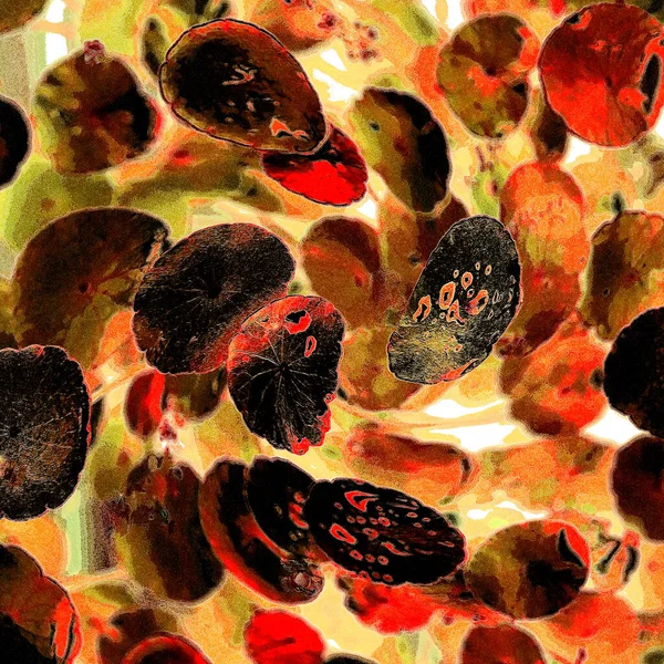 Yeşil çember ayrılıyor. Su bitkileri. Parlak, doğal, taze bir geçmiş. Yeşillik. Arkaplan veya duvar kağıdı için.