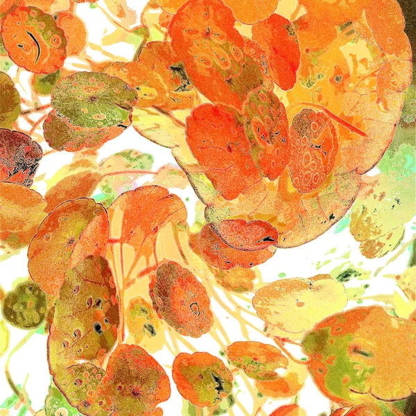 Yeşil çember ayrılıyor. Su bitkileri. Parlak, doğal, taze bir geçmiş. Yeşillik. Arkaplan veya duvar kağıdı için.