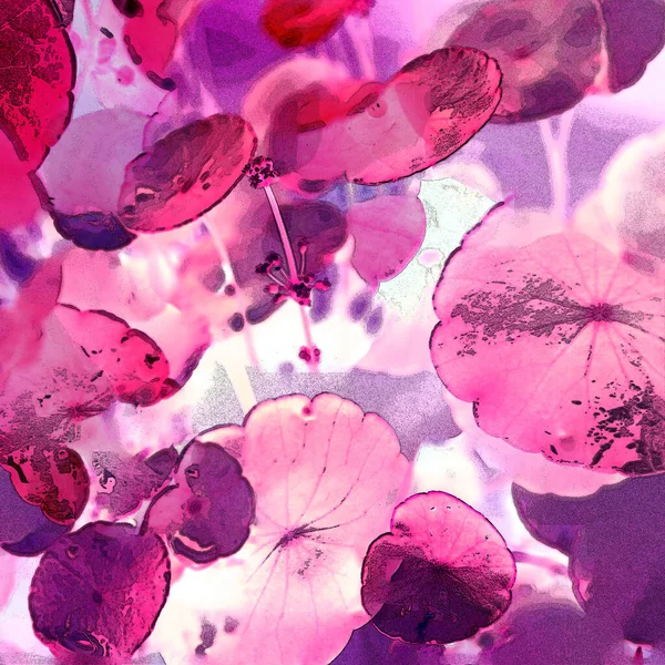 Yeşil çember ayrılıyor. Su bitkileri. Parlak, doğal, taze bir geçmiş. Yeşillik. Arkaplan veya duvar kağıdı için.