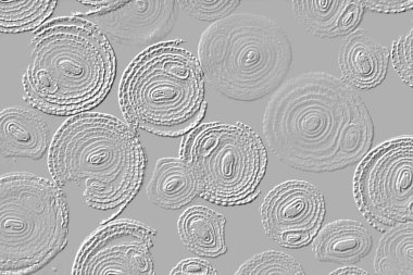 Farklı boyut ve şekillere sahip düzensiz fayanslar, 3 boyutlu grafikler için dikişsiz doku haritaları