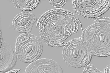 Farklı boyut ve şekillere sahip düzensiz fayanslar, 3 boyutlu grafikler için dikişsiz doku haritaları