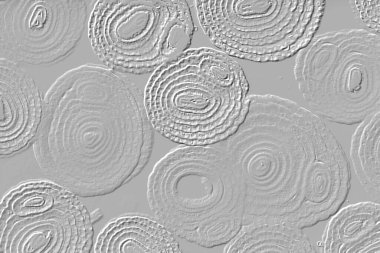 Farklı boyut ve şekillere sahip düzensiz fayanslar, 3 boyutlu grafikler için dikişsiz doku haritaları