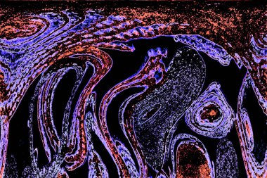 Renkli basit arka plan, dalgalı etkisi. Etkisi noktalarla. Ritmik ses parçacıklar. Tahıl doku. Renkli darbeleri ile duvar kağıdı. Duvar iç tasarım, lockscreen, paket için desen