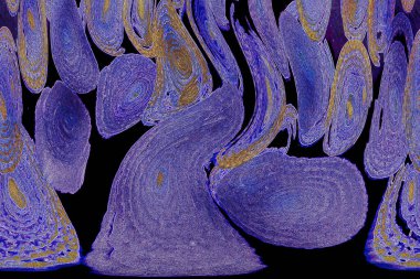 Renkli basit arka plan, dalgalı etkisi. Etkisi noktalarla. Ritmik ses parçacıklar. Tahıl doku. Renkli darbeleri ile duvar kağıdı. Duvar iç tasarım, lockscreen, paket için desen