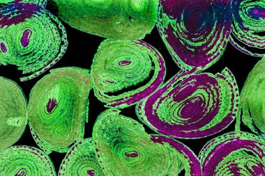 Renkli basit arka plan, dalgalı etkisi. Etkisi noktalarla. Ritmik ses parçacıklar. Tahıl doku. Renkli darbeleri ile duvar kağıdı. Duvar iç tasarım, lockscreen, paket için desen