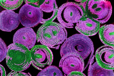 Renkli basit arka plan, dalgalı etkisi. Etkisi noktalarla. Ritmik ses parçacıklar. Tahıl doku. Renkli darbeleri ile duvar kağıdı. Duvar iç tasarım, lockscreen, paket için desen