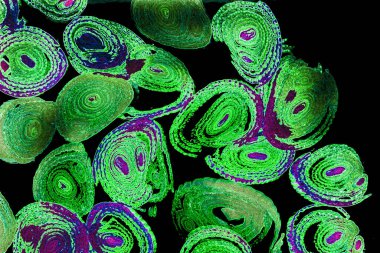 Renkli basit arka plan, dalgalı etkisi. Etkisi noktalarla. Ritmik ses parçacıklar. Tahıl doku. Renkli darbeleri ile duvar kağıdı. Duvar iç tasarım, lockscreen, paket için desen