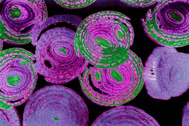 Renkli basit arka plan, dalgalı etkisi. Etkisi noktalarla. Ritmik ses parçacıklar. Tahıl doku. Renkli darbeleri ile duvar kağıdı. Duvar iç tasarım, lockscreen, paket için desen