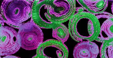 Renkli basit arka plan, dalgalı etkisi. Etkisi noktalarla. Ritmik ses parçacıklar. Tahıl doku. Renkli darbeleri ile duvar kağıdı. Duvar iç tasarım, lockscreen, paket için desen