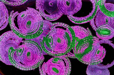 Renkli basit arka plan, dalgalı etkisi. Etkisi noktalarla. Ritmik ses parçacıklar. Tahıl doku. Renkli darbeleri ile duvar kağıdı. Duvar iç tasarım, lockscreen, paket için desen