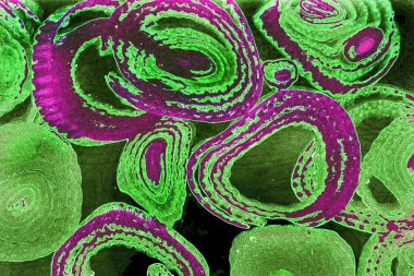 Renkli basit arka plan, dalgalı etkisi. Etkisi noktalarla. Ritmik ses parçacıklar. Tahıl doku. Renkli darbeleri ile duvar kağıdı. Duvar iç tasarım, lockscreen, paket için desen