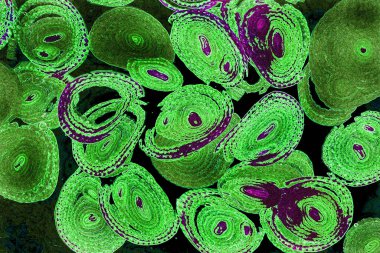 Renkli basit arka plan, dalgalı etkisi. Etkisi noktalarla. Ritmik ses parçacıklar. Tahıl doku. Renkli darbeleri ile duvar kağıdı. Duvar iç tasarım, lockscreen, paket için desen