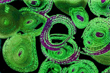 Renkli basit arka plan, dalgalı etkisi. Etkisi noktalarla. Ritmik ses parçacıklar. Tahıl doku. Renkli darbeleri ile duvar kağıdı. Duvar iç tasarım, lockscreen, paket için desen