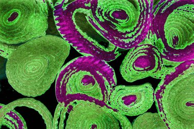 Renkli basit arka plan, dalgalı etkisi. Etkisi noktalarla. Ritmik ses parçacıklar. Tahıl doku. Renkli darbeleri ile duvar kağıdı. Duvar iç tasarım, lockscreen, paket için desen