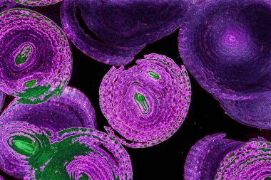 Renkli basit arka plan, dalgalı etkisi. Etkisi noktalarla. Ritmik ses parçacıklar. Tahıl doku. Renkli darbeleri ile duvar kağıdı. Duvar iç tasarım, lockscreen, paket için desen