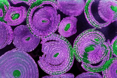 Renkli basit arka plan, dalgalı etkisi. Etkisi noktalarla. Ritmik ses parçacıklar. Tahıl doku. Renkli darbeleri ile duvar kağıdı. Duvar iç tasarım, lockscreen, paket için desen