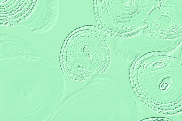 Farklı boyut ve şekillere sahip düzensiz fayanslar, 3 boyutlu grafikler için dikişsiz doku haritaları