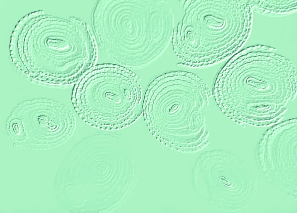 Farklı boyut ve şekillere sahip düzensiz fayanslar, 3 boyutlu grafikler için dikişsiz doku haritaları