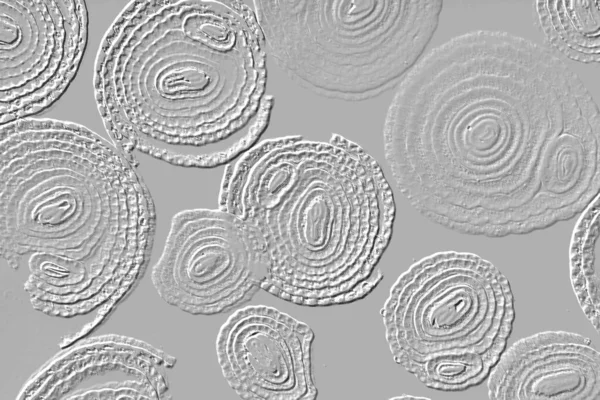 Farklı boyut ve şekillere sahip düzensiz fayanslar, 3 boyutlu grafikler için dikişsiz doku haritaları