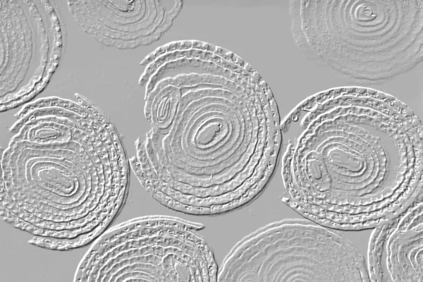 Farklı boyut ve şekillere sahip düzensiz fayanslar, 3 boyutlu grafikler için dikişsiz doku haritaları