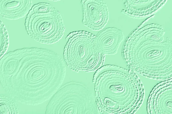 Farklı boyut ve şekillere sahip düzensiz fayanslar, 3 boyutlu grafikler için dikişsiz doku haritaları