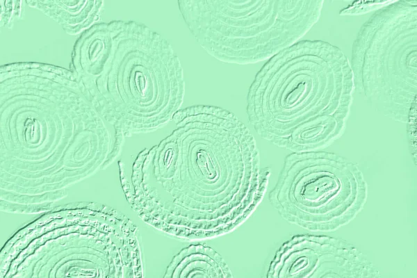 Farklı boyut ve şekillere sahip düzensiz fayanslar, 3 boyutlu grafikler için dikişsiz doku haritaları