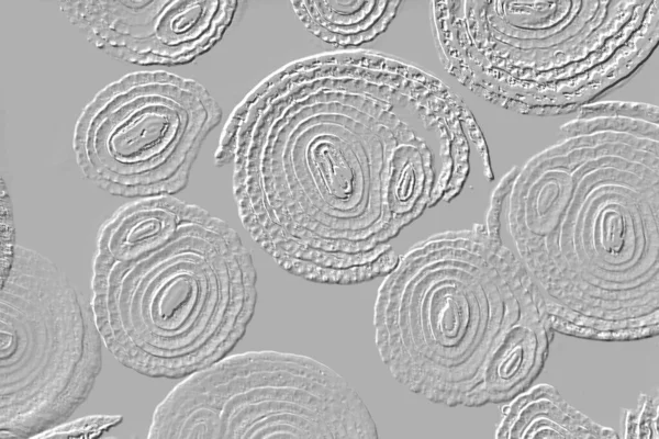 Farklı boyut ve şekillere sahip düzensiz fayanslar, 3 boyutlu grafikler için dikişsiz doku haritaları