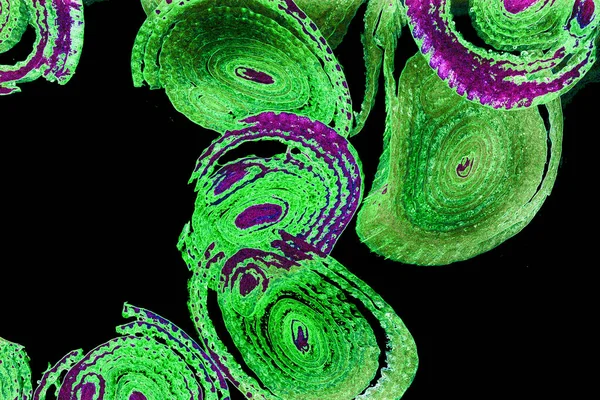 Renkli basit arka plan, dalgalı etkisi. Etkisi noktalarla. Ritmik ses parçacıklar. Tahıl doku. Renkli darbeleri ile duvar kağıdı. Duvar iç tasarım, lockscreen, paket için desen