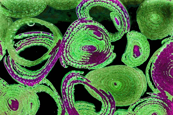 Renkli basit arka plan, dalgalı etkisi. Etkisi noktalarla. Ritmik ses parçacıklar. Tahıl doku. Renkli darbeleri ile duvar kağıdı. Duvar iç tasarım, lockscreen, paket için desen