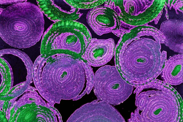 Renkli basit arka plan, dalgalı etkisi. Etkisi noktalarla. Ritmik ses parçacıklar. Tahıl doku. Renkli darbeleri ile duvar kağıdı. Duvar iç tasarım, lockscreen, paket için desen