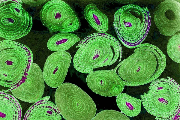 Renkli basit arka plan, dalgalı etkisi. Etkisi noktalarla. Ritmik ses parçacıklar. Tahıl doku. Renkli darbeleri ile duvar kağıdı. Duvar iç tasarım, lockscreen, paket için desen