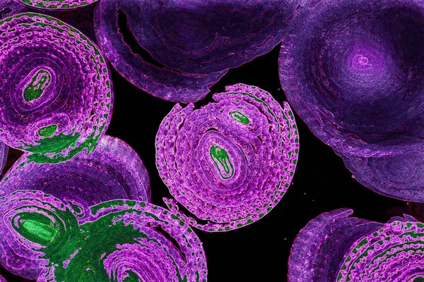 Renkli basit arka plan, dalgalı etkisi. Etkisi noktalarla. Ritmik ses parçacıklar. Tahıl doku. Renkli darbeleri ile duvar kağıdı. Duvar iç tasarım, lockscreen, paket için desen