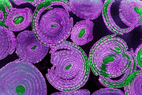 Renkli basit arka plan, dalgalı etkisi. Etkisi noktalarla. Ritmik ses parçacıklar. Tahıl doku. Renkli darbeleri ile duvar kağıdı. Duvar iç tasarım, lockscreen, paket için desen